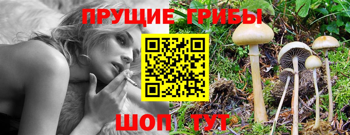 Галлюциногенные грибы GOLDEN TEACHER  Вход с VPN  Десногорск 
